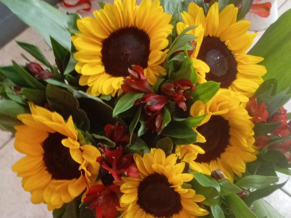 Seasonal Arrangement