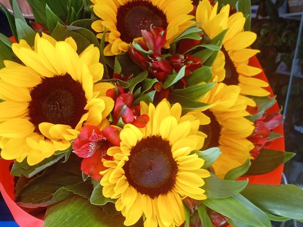 Spring Bouquet