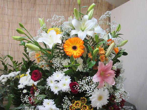 Seasonal Flowers