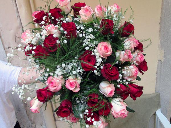 Bridal Roses
